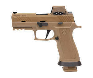 Sig Sauer M18X w/ Romeo M17 RDS
